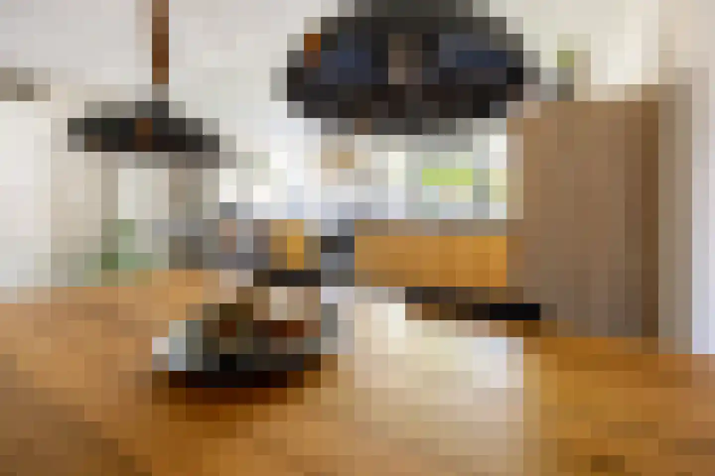 van Ruysdaellaan 12 Bergschenhoek thumbnail 10