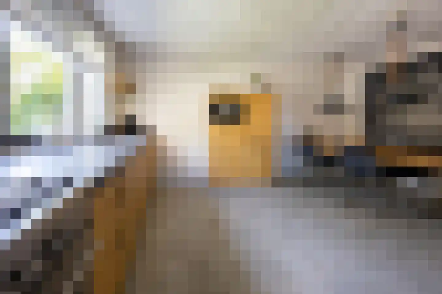 van Ruysdaellaan 12 Bergschenhoek thumbnail 11