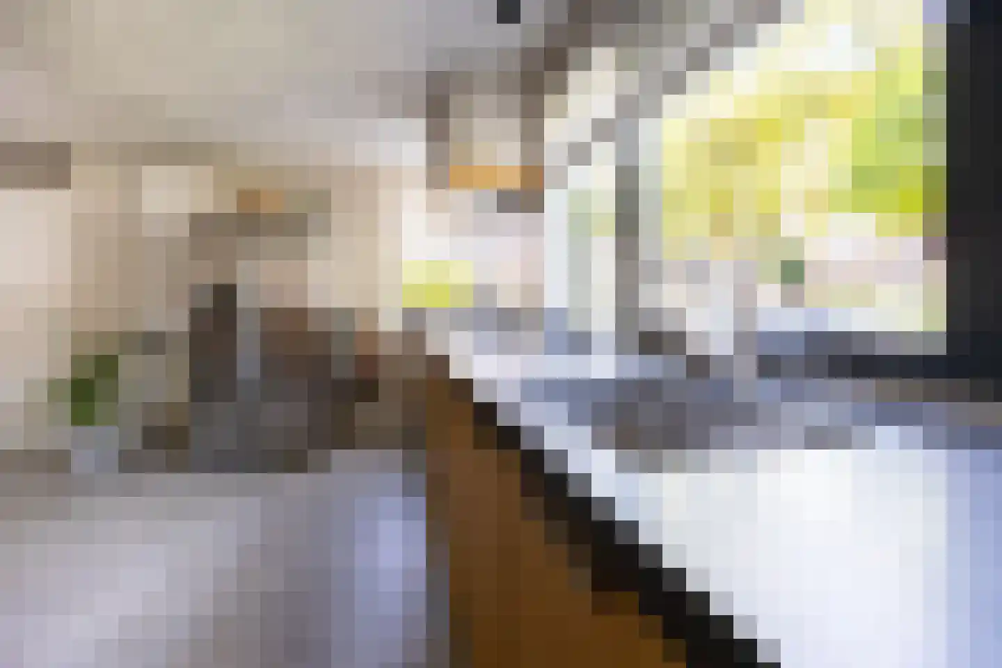 van Ruysdaellaan 12 Bergschenhoek thumbnail 12