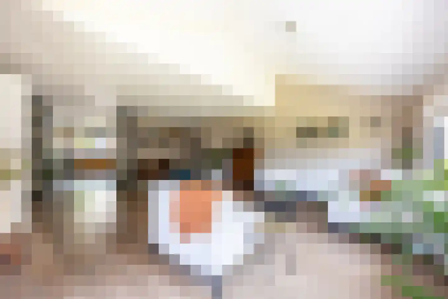 van Ruysdaellaan 12 Bergschenhoek thumbnail 15