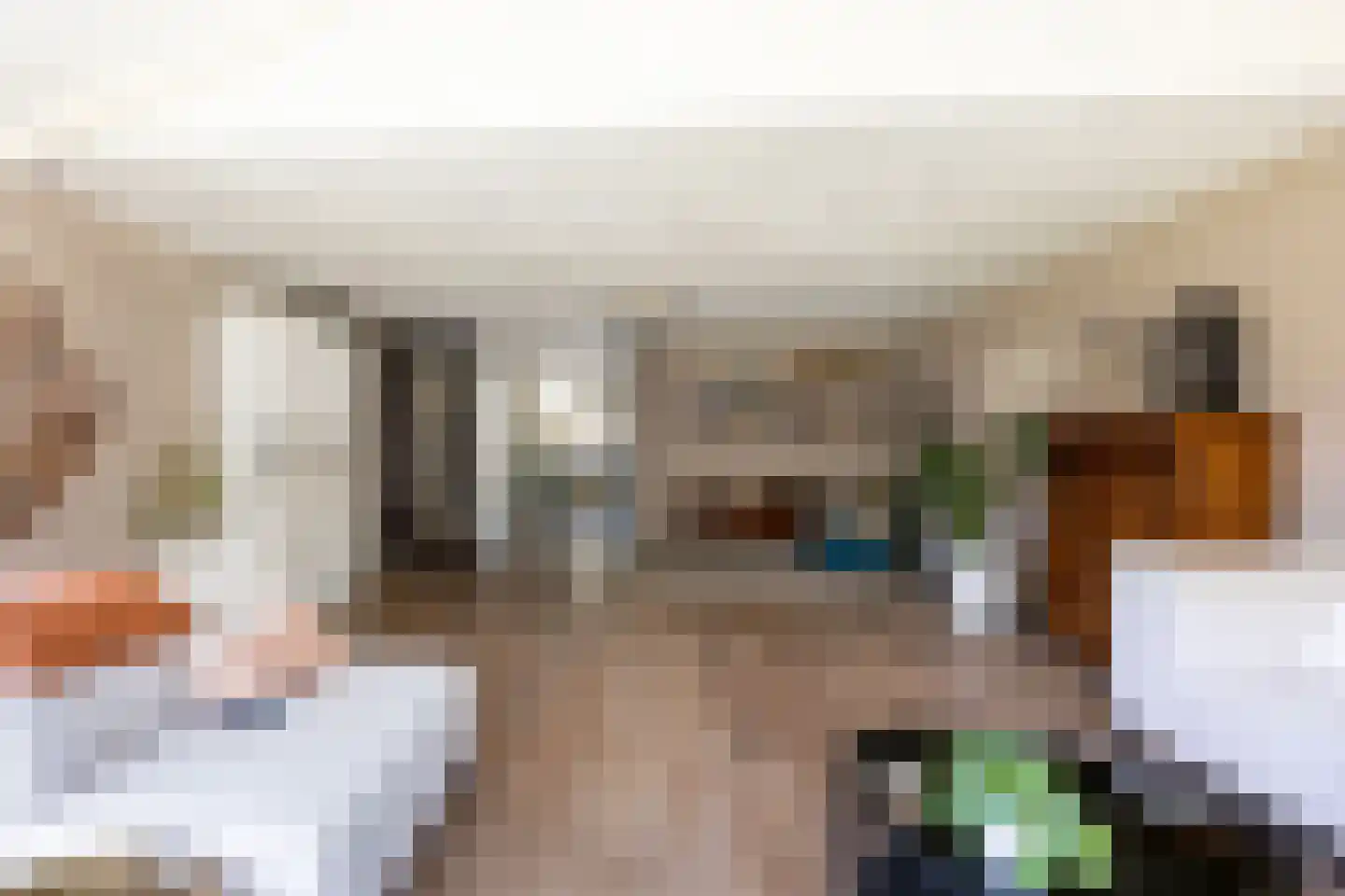 van Ruysdaellaan 12 Bergschenhoek thumbnail 16