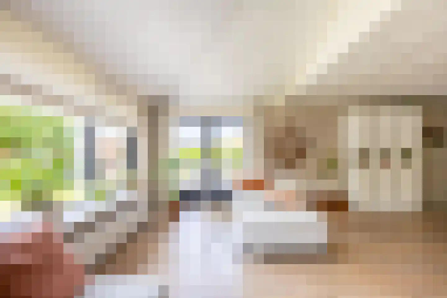 van Ruysdaellaan 12 Bergschenhoek thumbnail 17