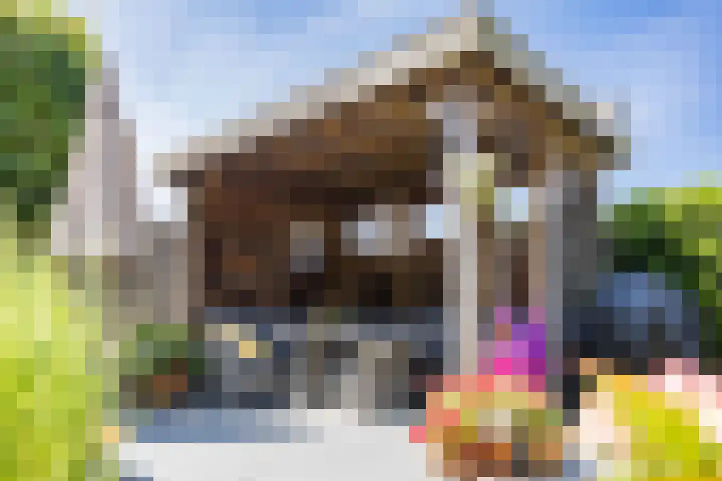 van Ruysdaellaan 12 Bergschenhoek thumbnail 19