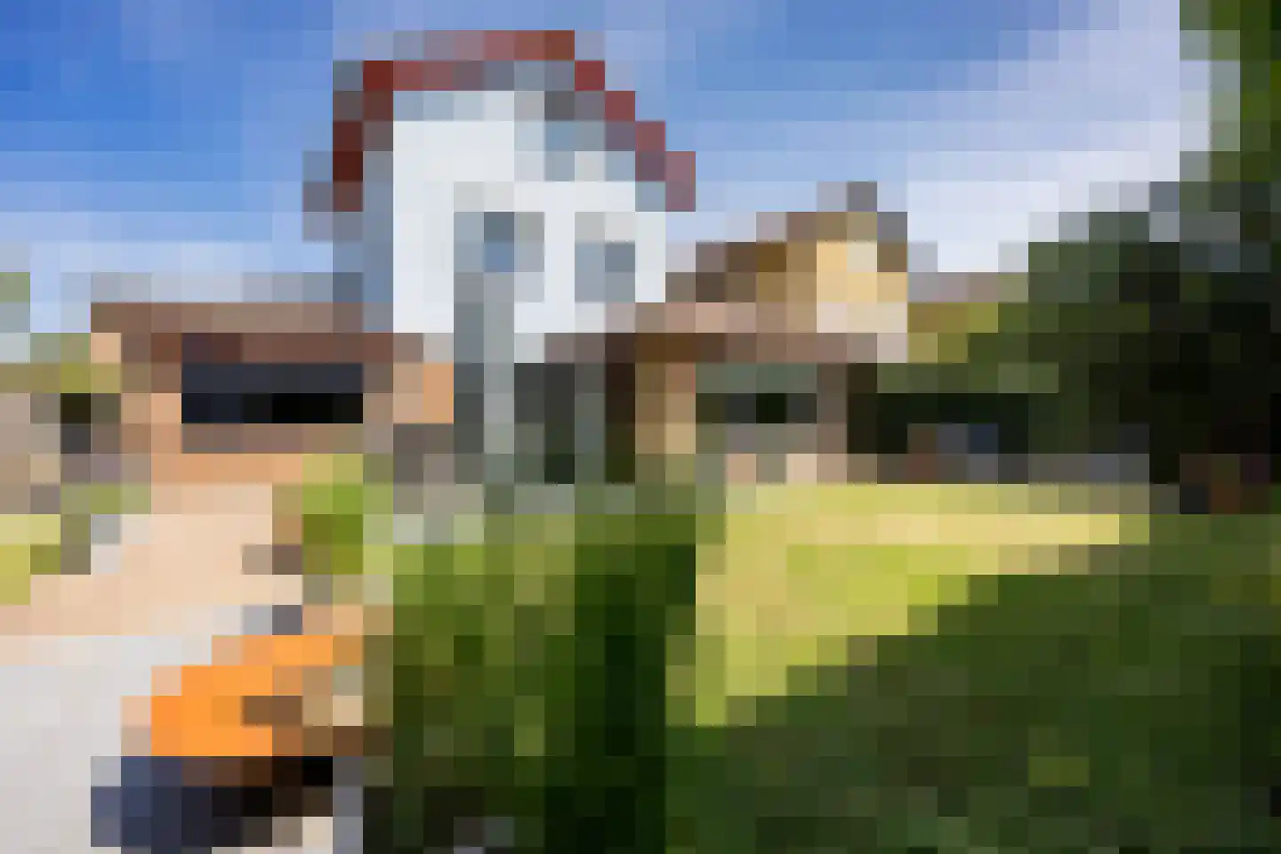 van Ruysdaellaan 12 Bergschenhoek thumbnail 21
