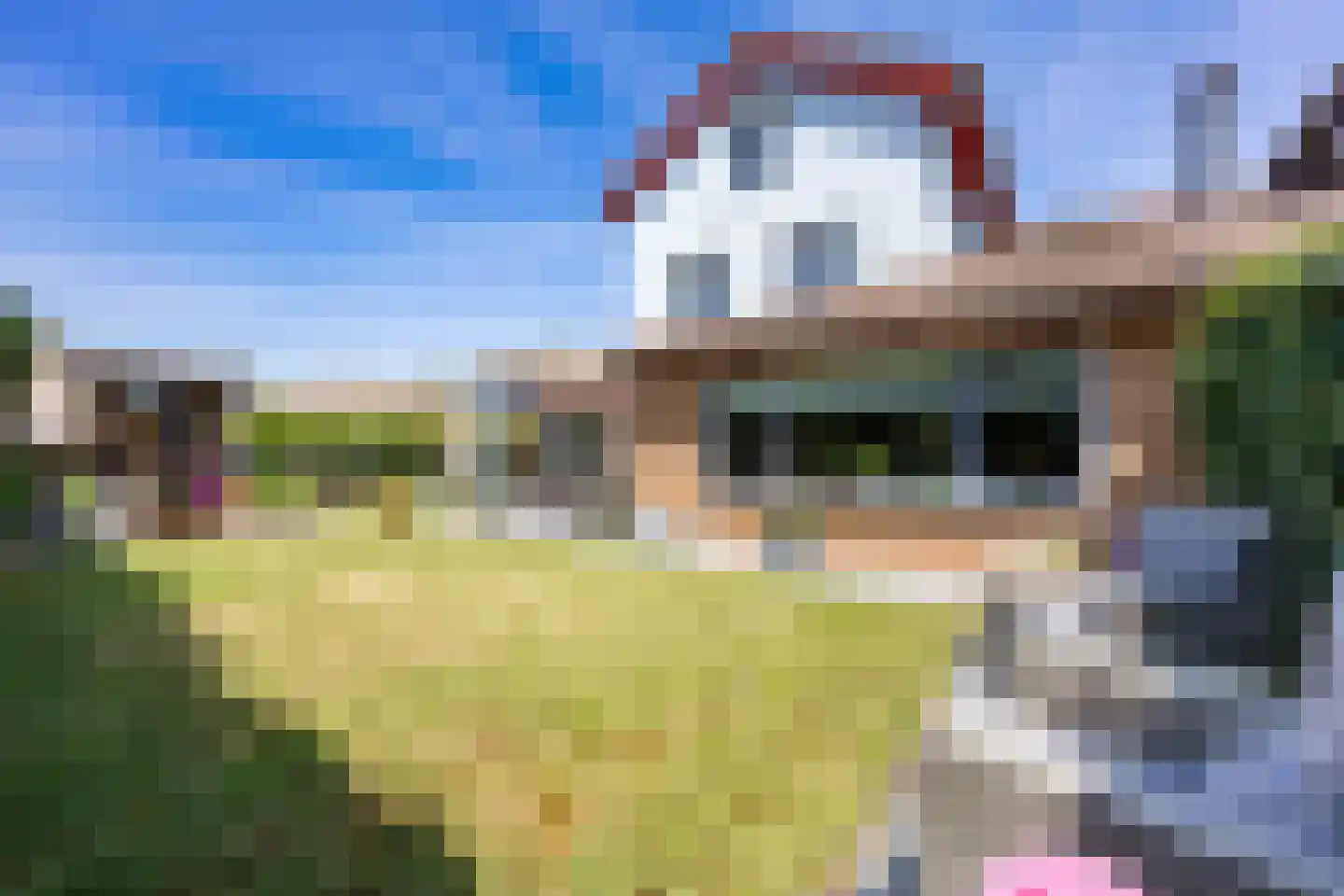 van Ruysdaellaan 12 Bergschenhoek thumbnail 22