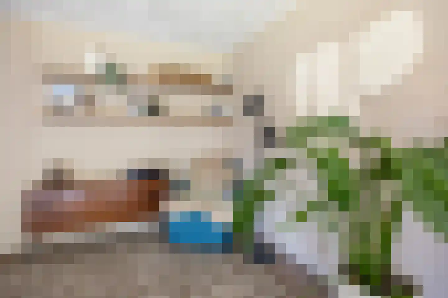 van Ruysdaellaan 12 Bergschenhoek thumbnail 29