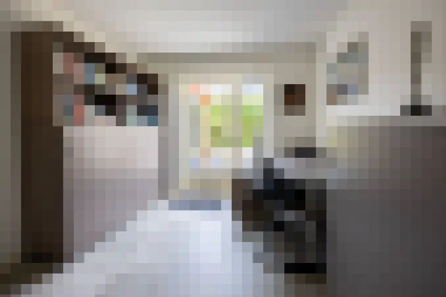 van Ruysdaellaan 12 Bergschenhoek thumbnail 33