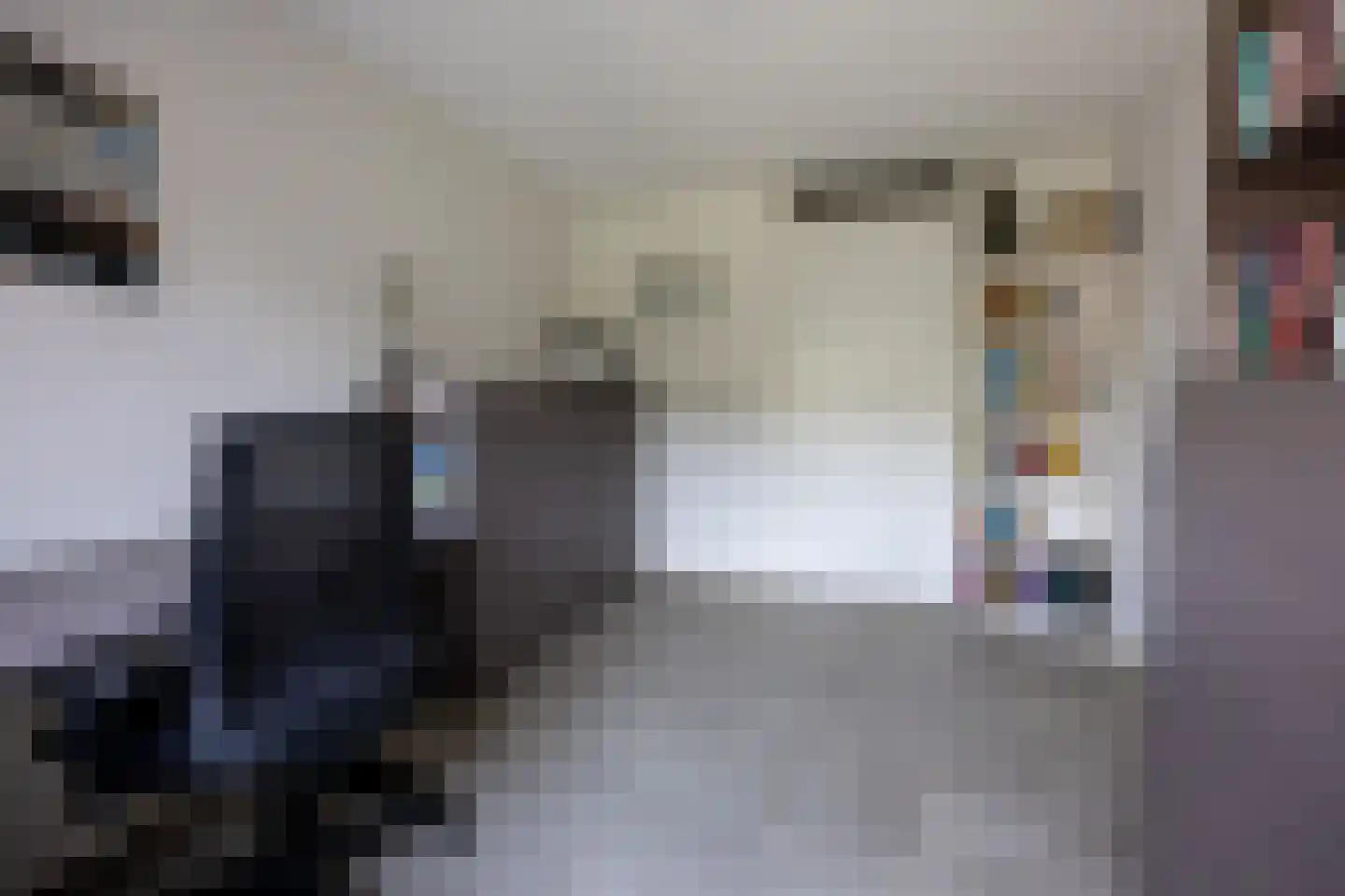 van Ruysdaellaan 12 Bergschenhoek thumbnail 34