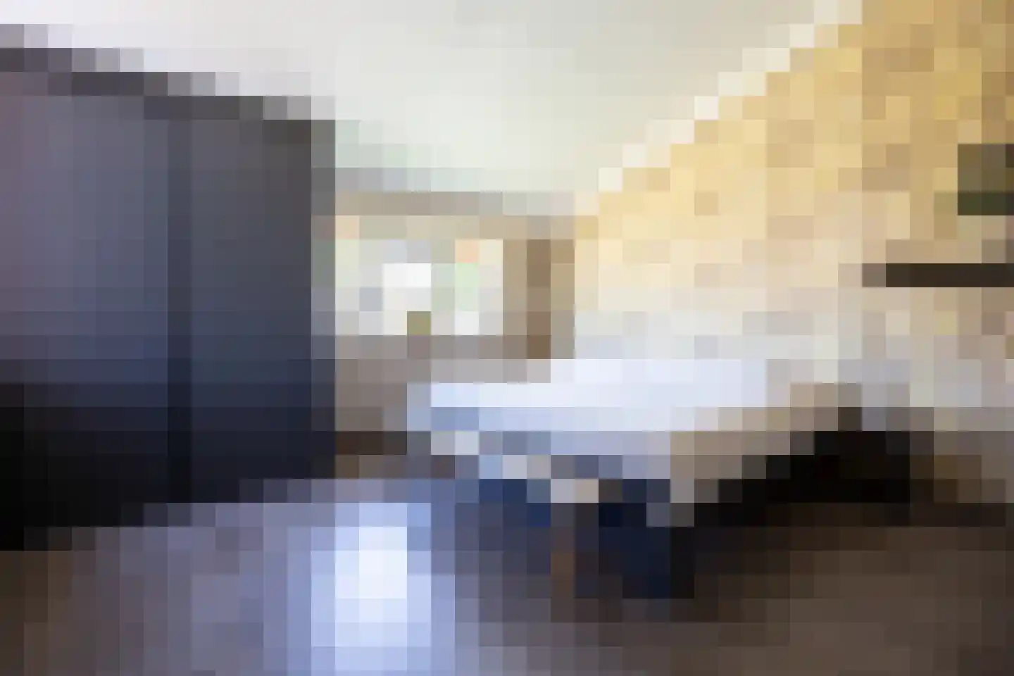van Ruysdaellaan 12 Bergschenhoek thumbnail 35