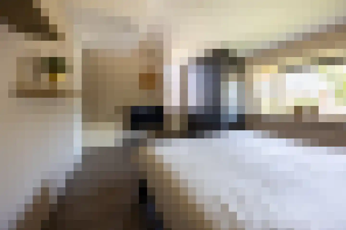 van Ruysdaellaan 12 Bergschenhoek thumbnail 36