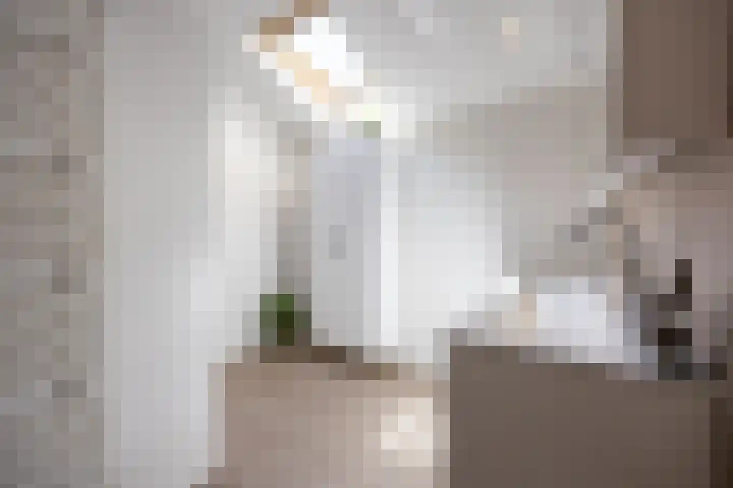 van Ruysdaellaan 12 Bergschenhoek thumbnail 37