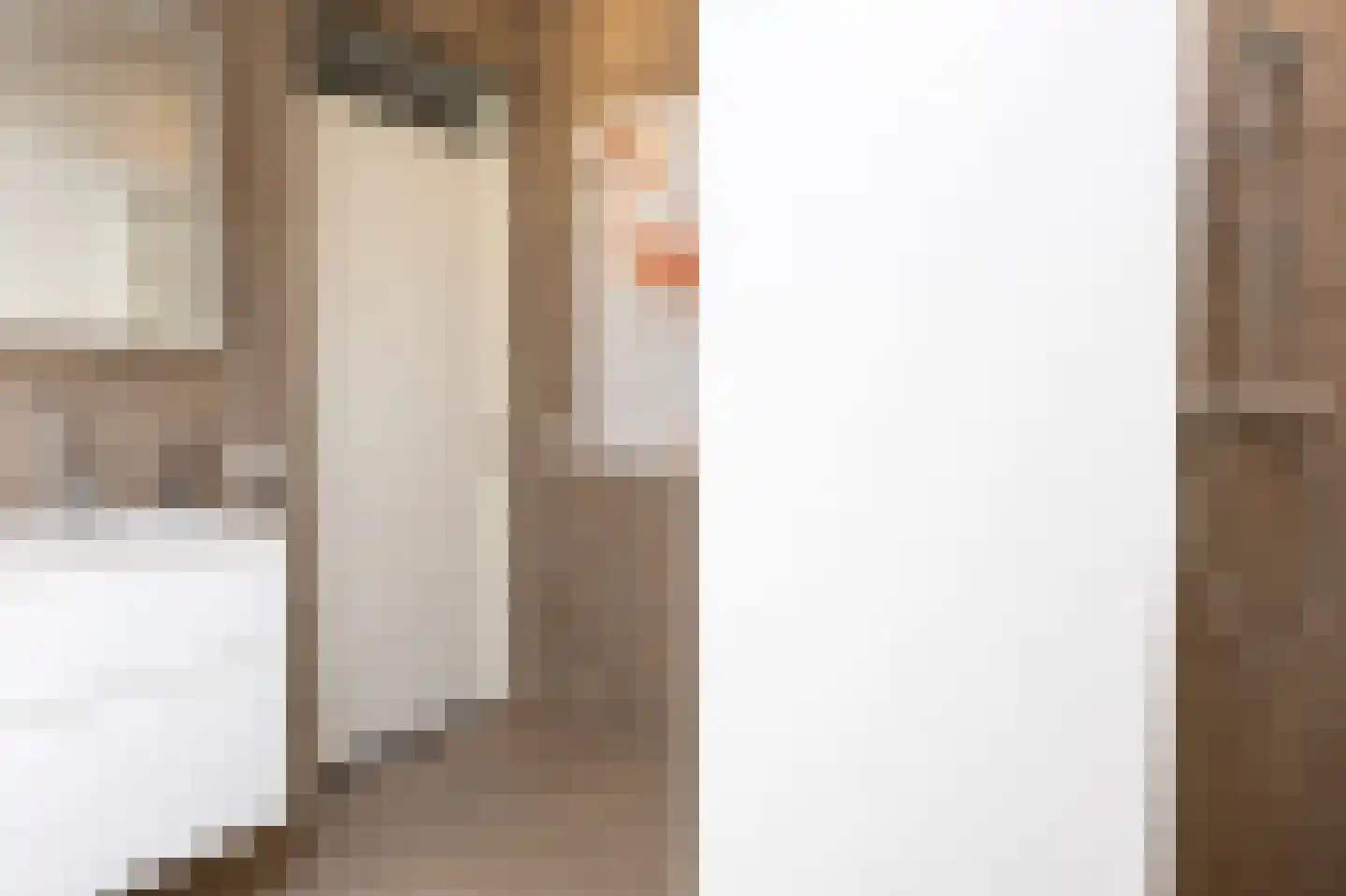 van Ruysdaellaan 12 Bergschenhoek thumbnail 39