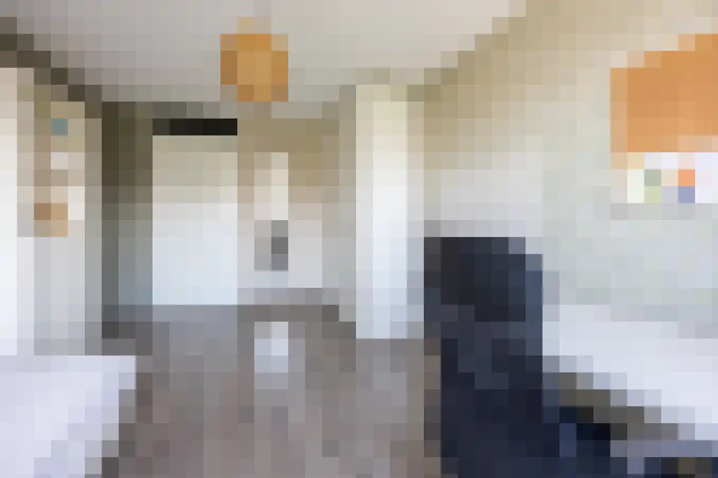 van Ruysdaellaan 12 Bergschenhoek thumbnail 43