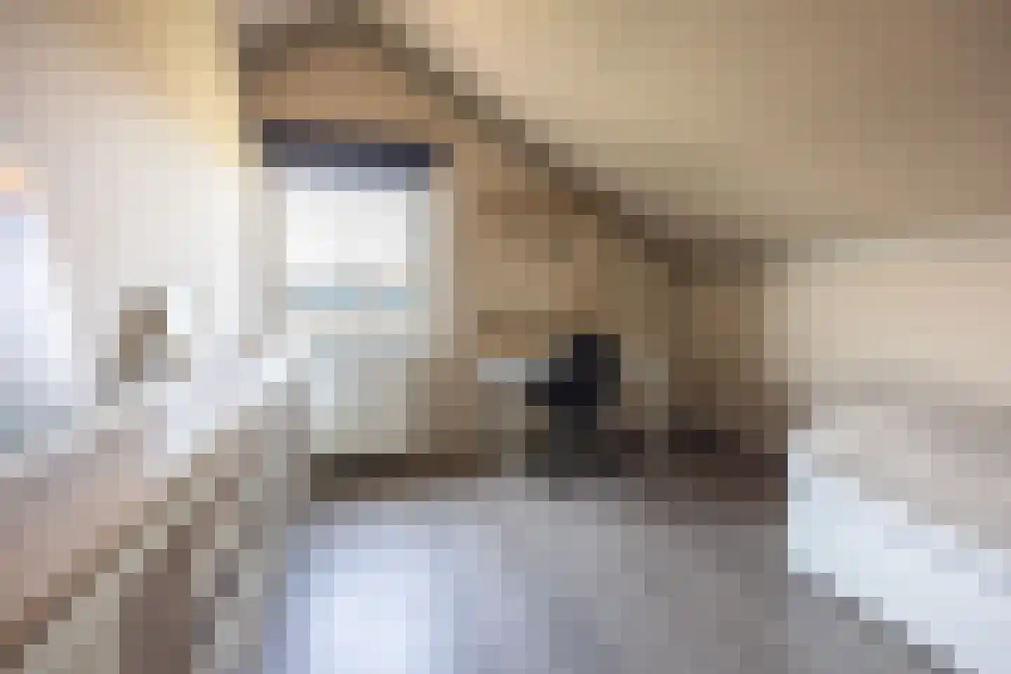 van Ruysdaellaan 12 Bergschenhoek thumbnail 47