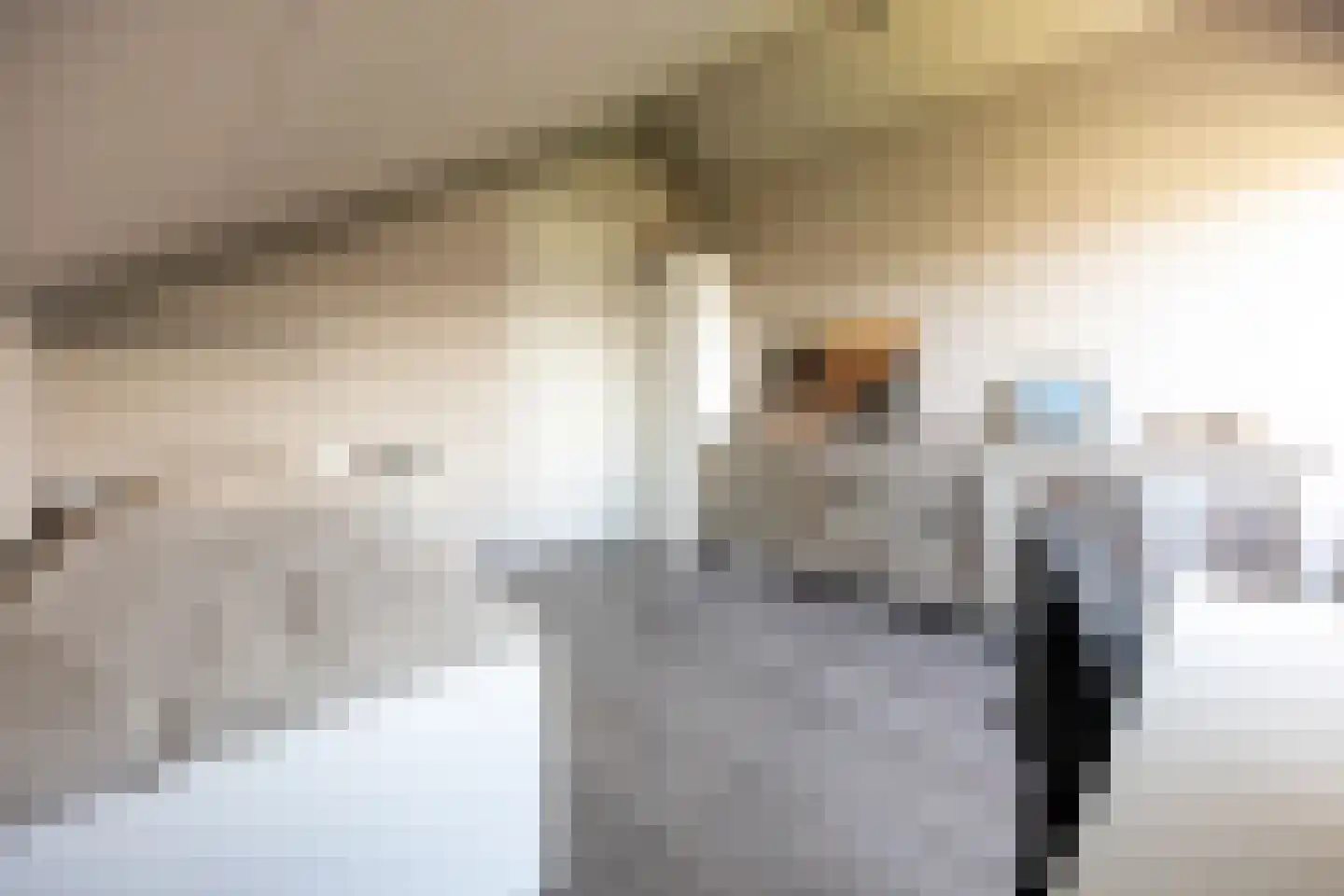 van Ruysdaellaan 12 Bergschenhoek thumbnail 48