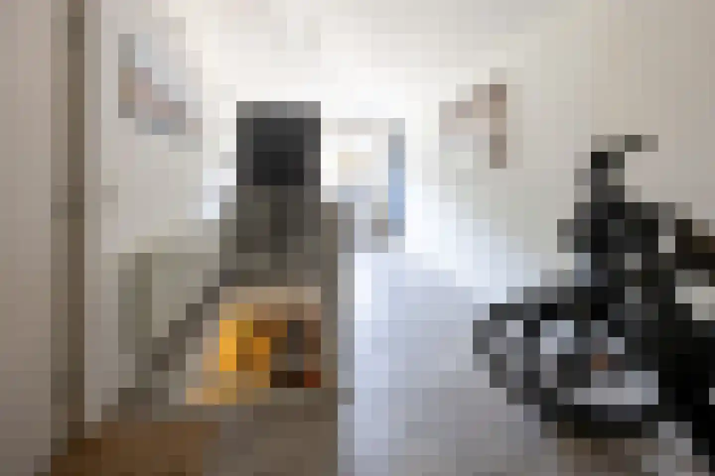 van Ruysdaellaan 12 Bergschenhoek thumbnail 53