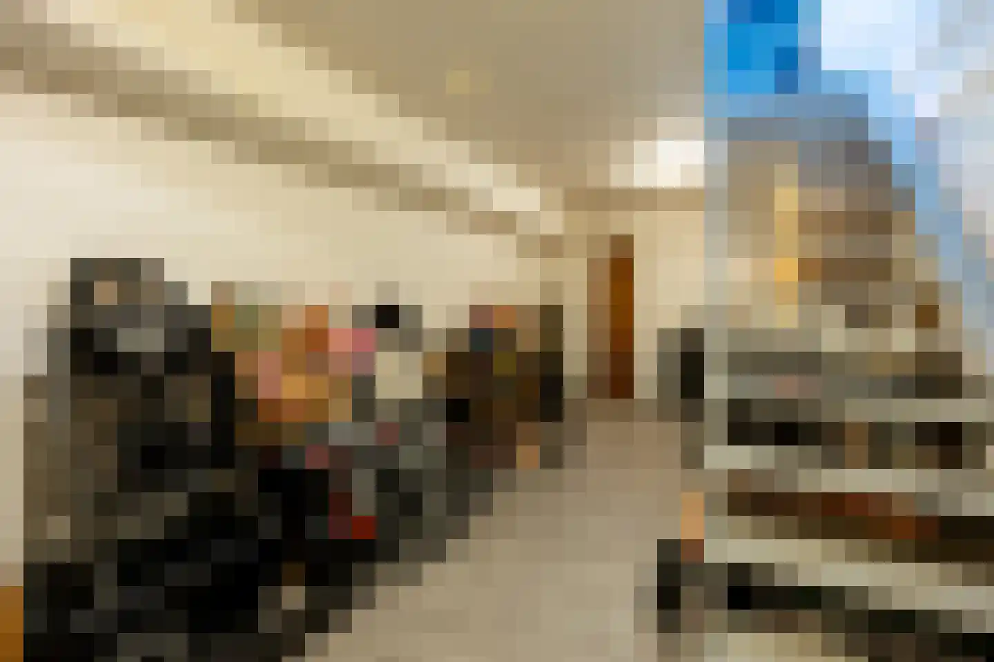 van Ruysdaellaan 12 Bergschenhoek thumbnail 56