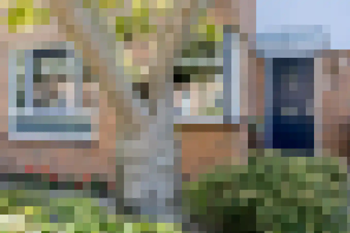 van Ruysdaellaan 12 Bergschenhoek thumbnail 6