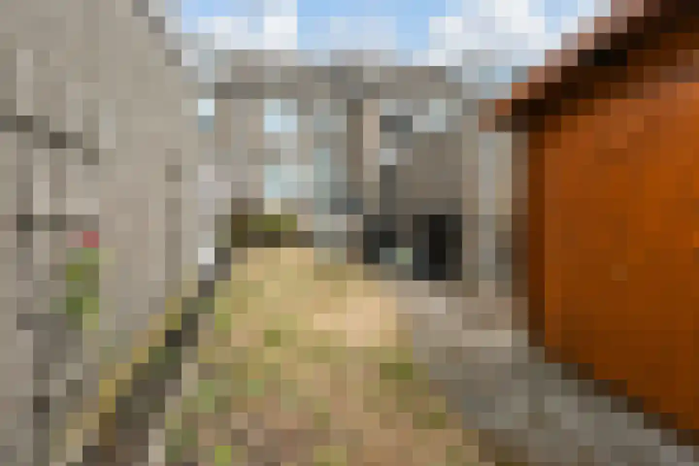 van Ruysdaellaan 123 Leidschendam thumbnail 10