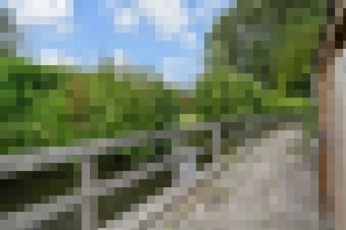 van Ruysdaellaan 123 Leidschendam thumbnail 12