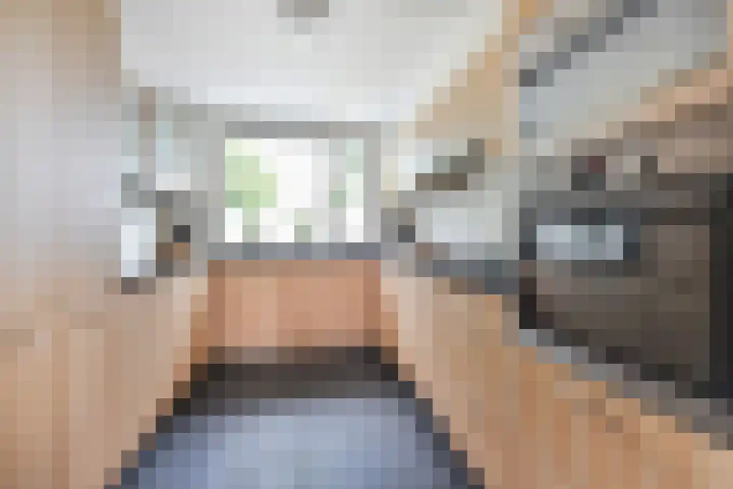 van Ruysdaellaan 123 Leidschendam thumbnail 13