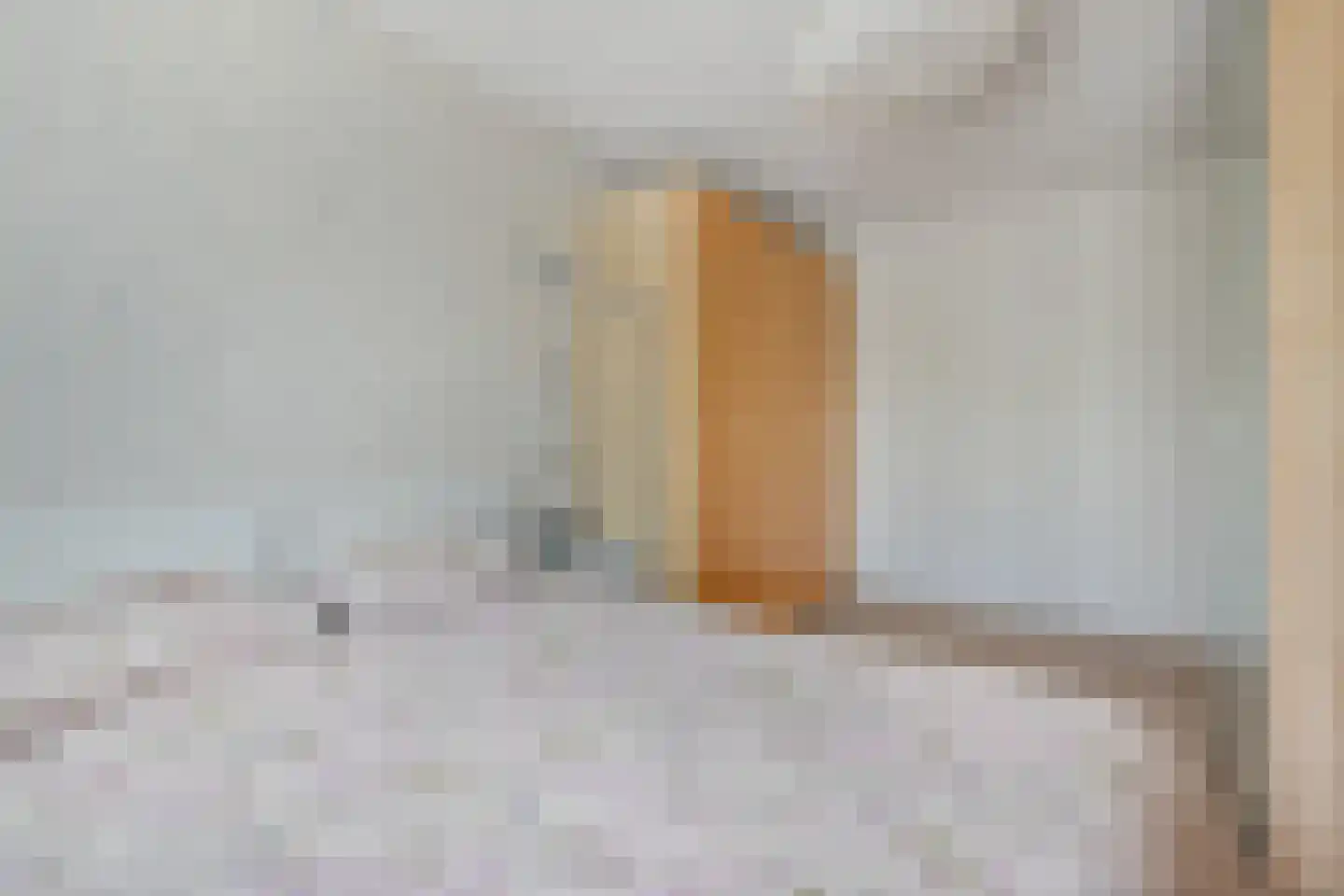 van Ruysdaellaan 123 Leidschendam thumbnail 20