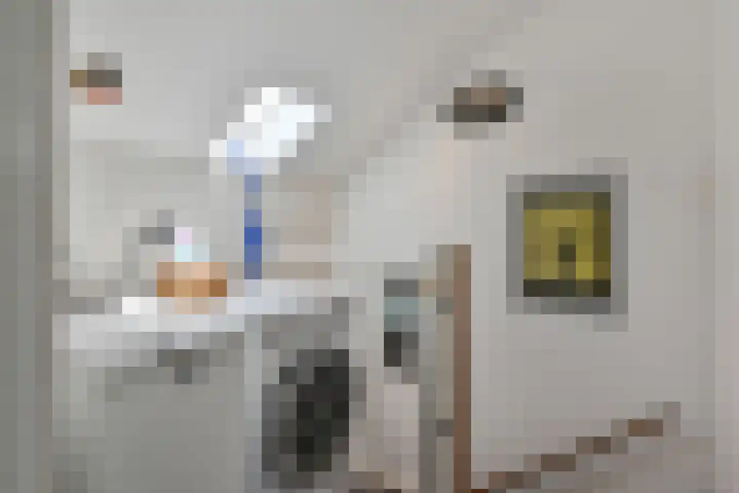van Ruysdaellaan 123 Leidschendam thumbnail 31