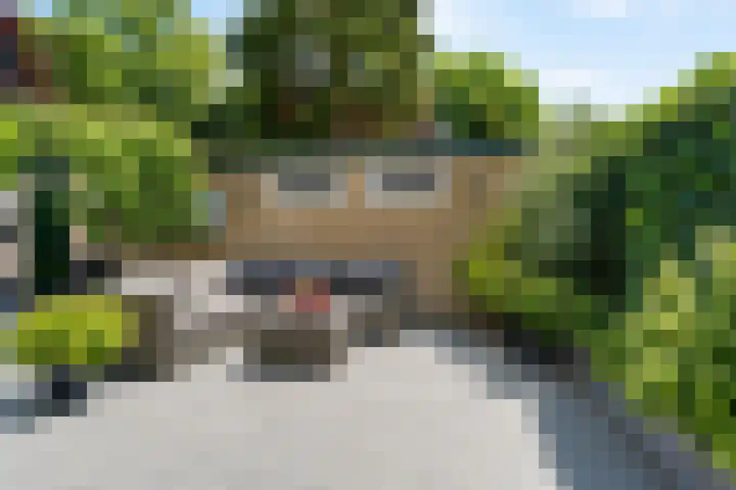 van Ruysdaellaan 22 Leidschendam thumbnail 28