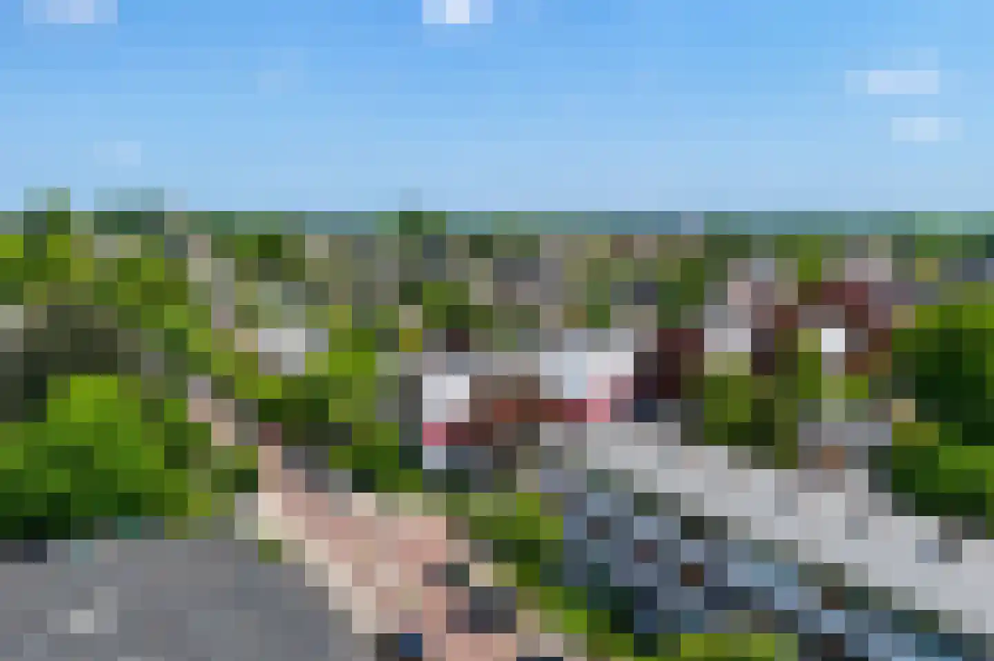 van Ruysdaellaan 22 Leidschendam thumbnail 31