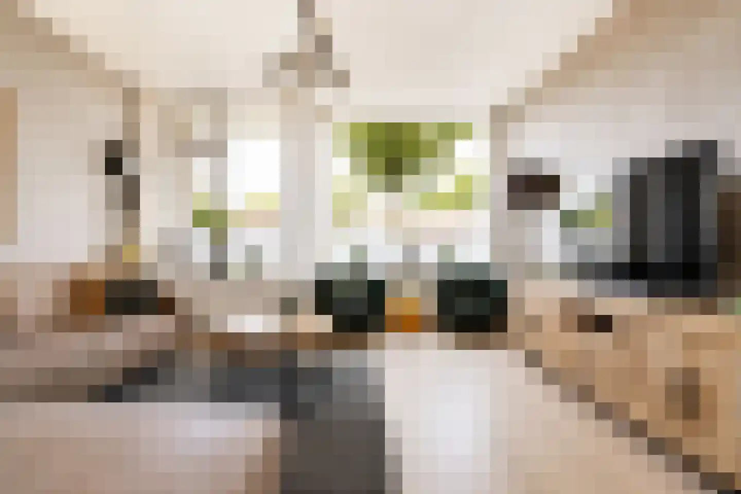 van Ruysdaellaan 22 Leidschendam thumbnail 7