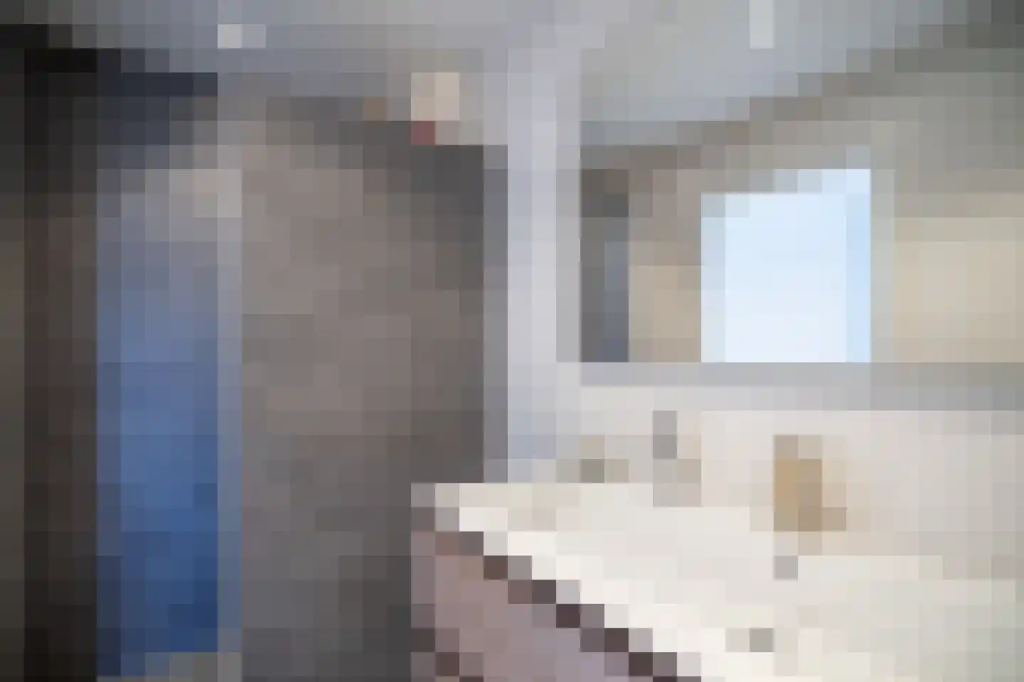 van Ruysdaellaan 34 Leidschendam thumbnail 33