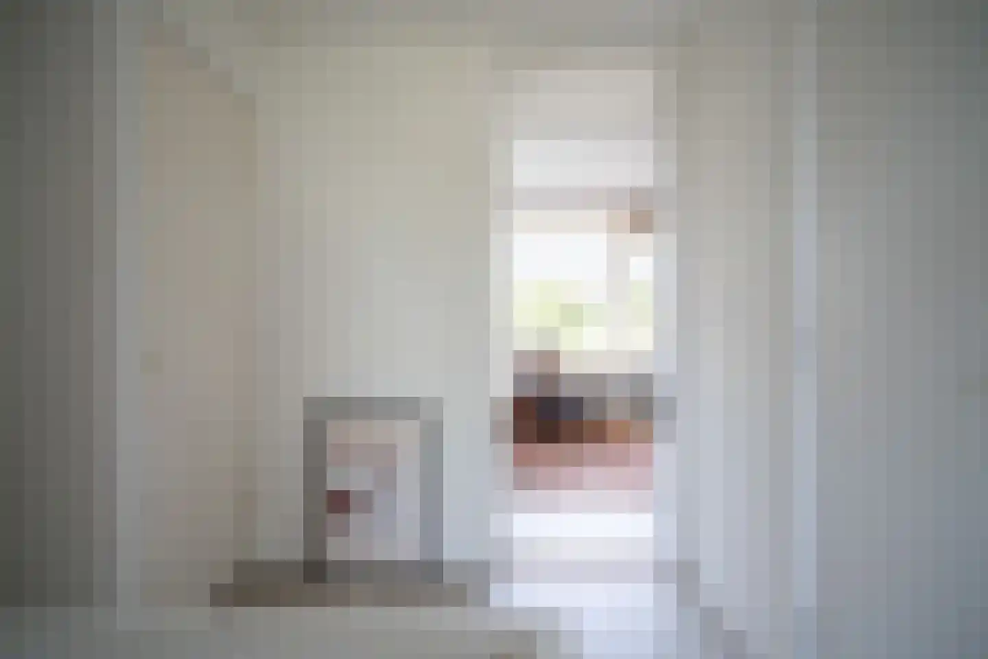 van Ruysdaellaan 34 Leidschendam thumbnail 36