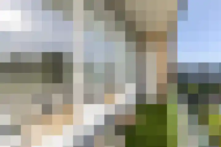 van Ruysdaellaan 44 Leidschendam thumbnail 20