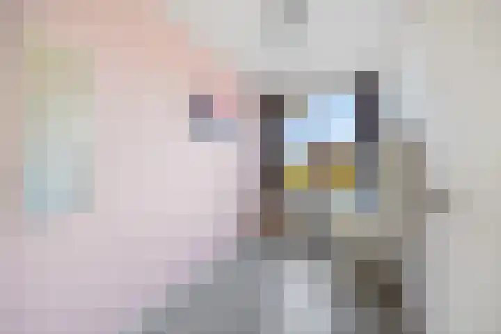 van Ruysdaellaan 44 Leidschendam thumbnail 28