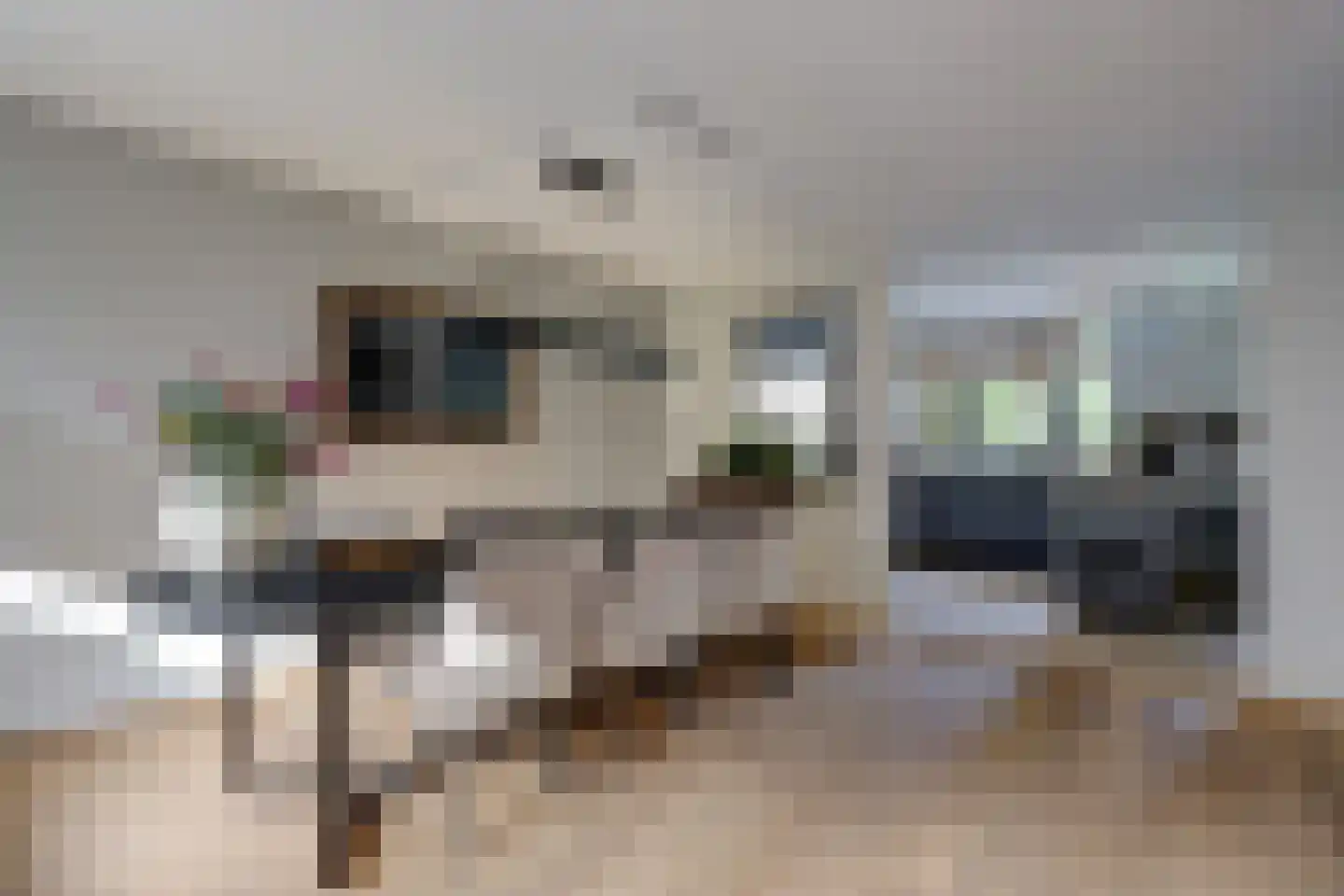 van Ruysdaellaan 48 Bergschenhoek thumbnail 13