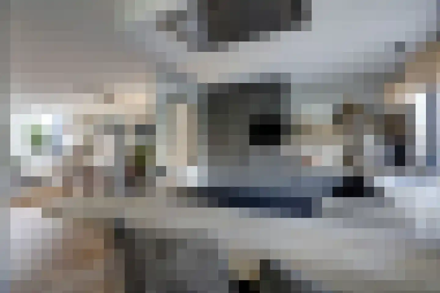 van Ruysdaellaan 48 Bergschenhoek thumbnail 14