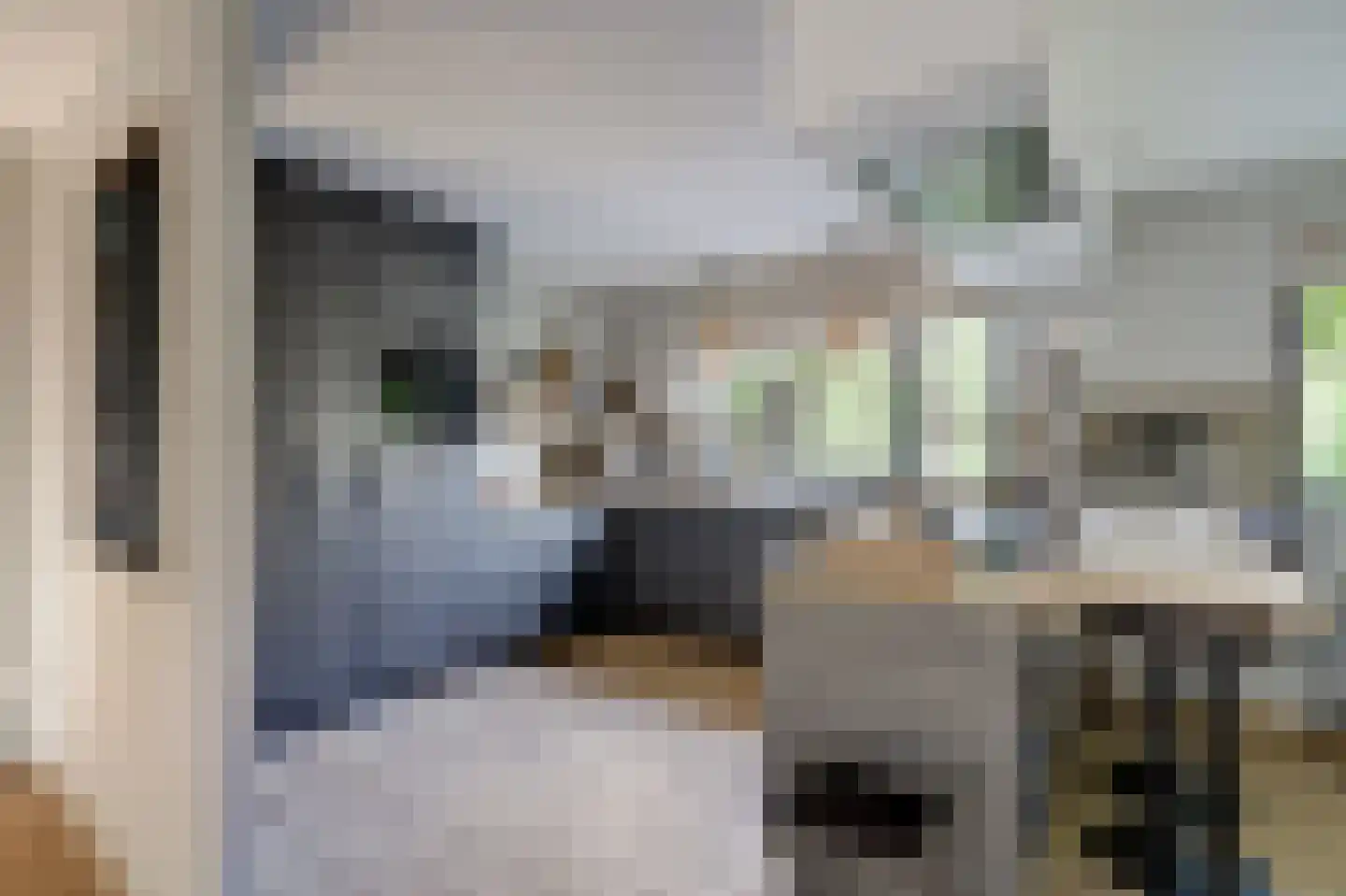 van Ruysdaellaan 48 Bergschenhoek thumbnail 16
