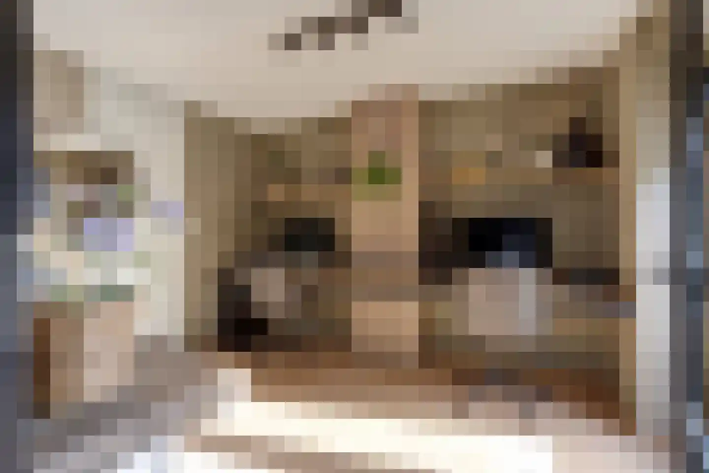 van Ruysdaellaan 48 Bergschenhoek thumbnail 17