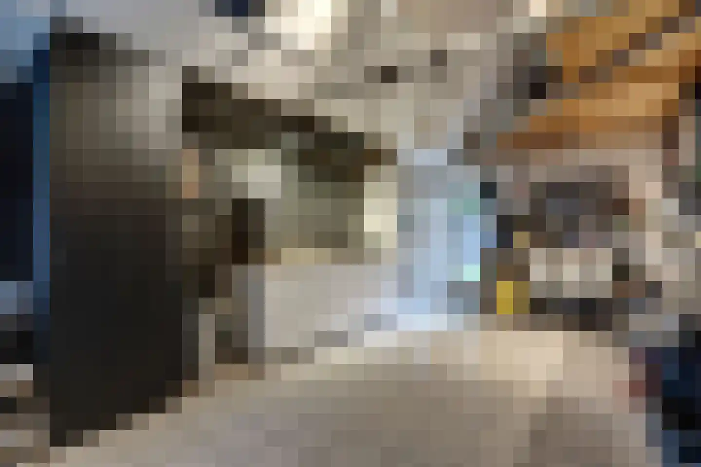 van Ruysdaellaan 48 Bergschenhoek thumbnail 19