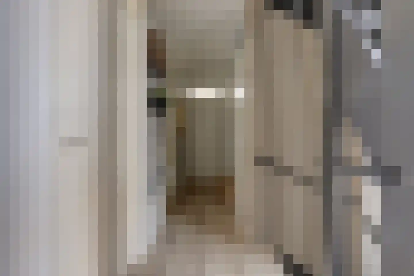 van Ruysdaellaan 48 Bergschenhoek thumbnail 21