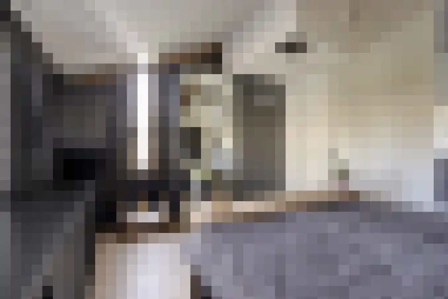van Ruysdaellaan 48 Bergschenhoek thumbnail 24