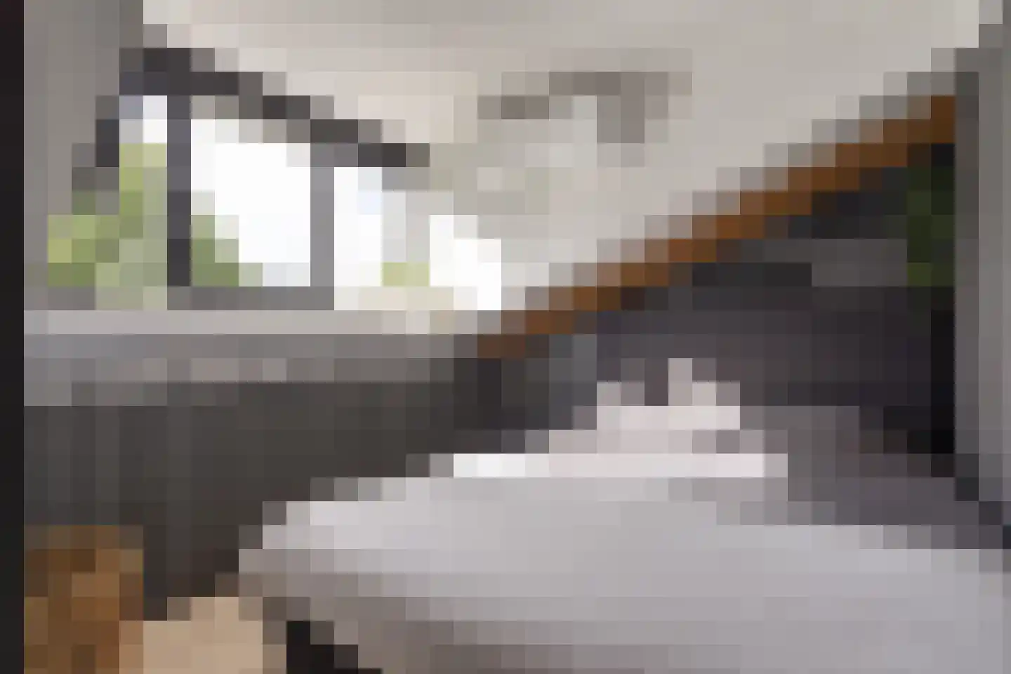 van Ruysdaellaan 48 Bergschenhoek thumbnail 25