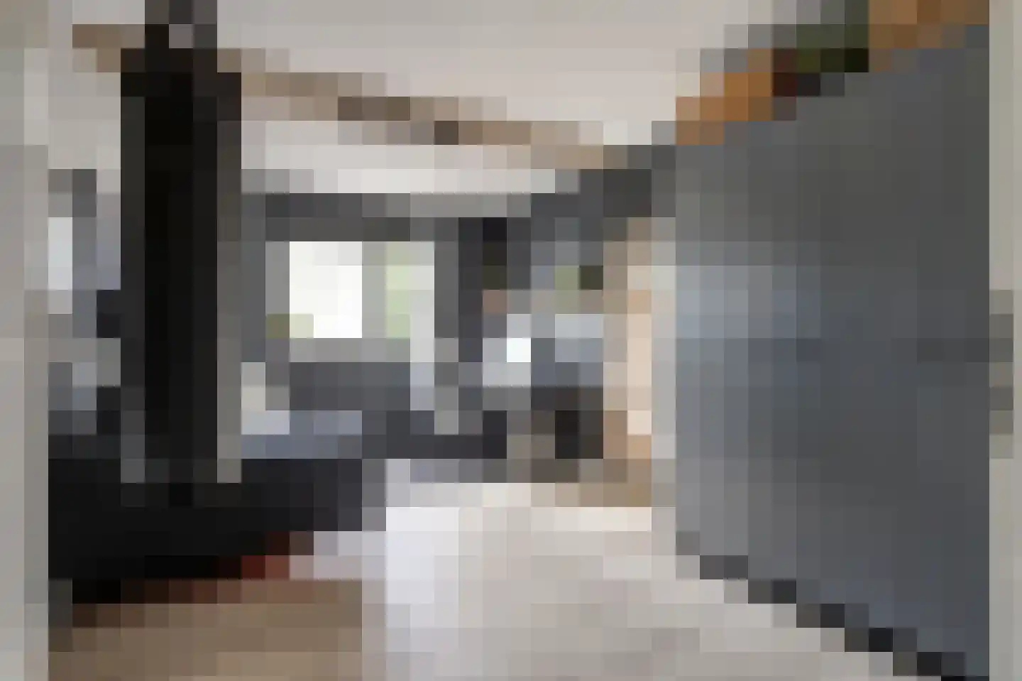 van Ruysdaellaan 48 Bergschenhoek thumbnail 27