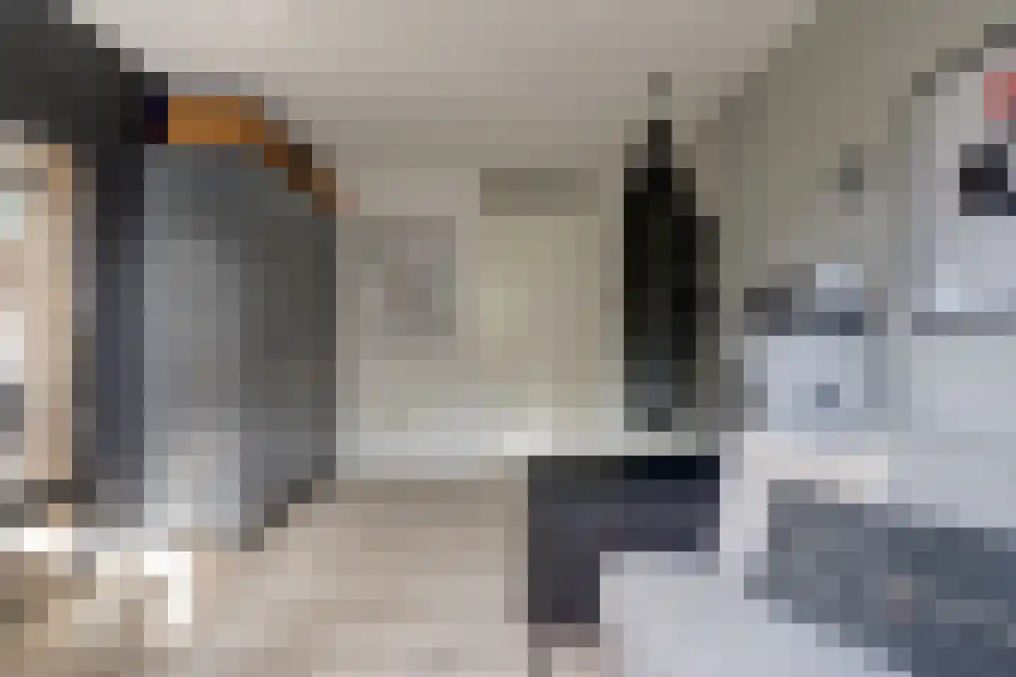 van Ruysdaellaan 48 Bergschenhoek thumbnail 28
