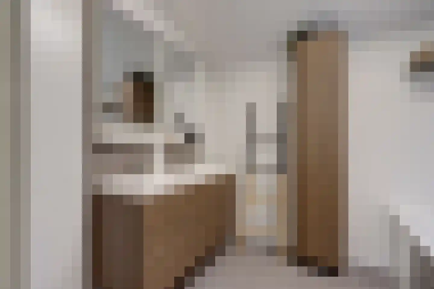 van Ruysdaellaan 48 Bergschenhoek thumbnail 30