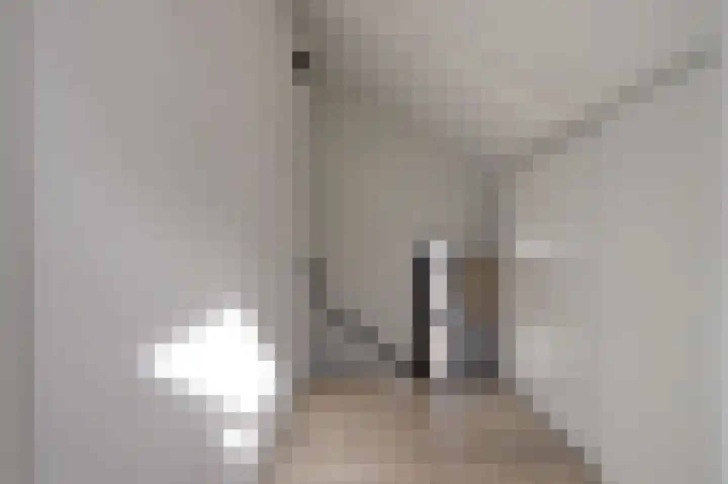 van Ruysdaellaan 48 Bergschenhoek thumbnail 32