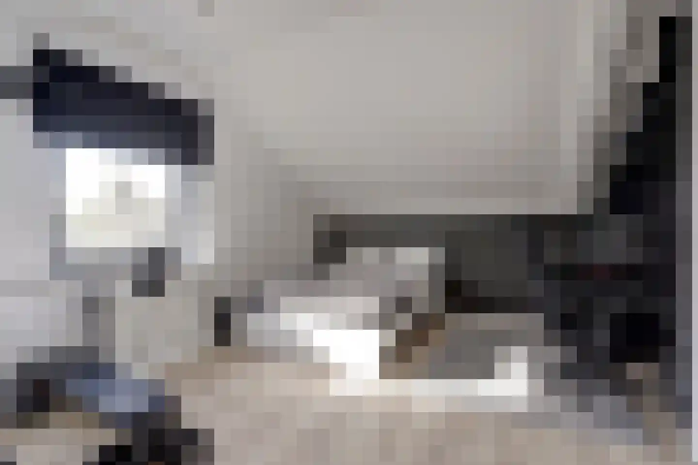 van Ruysdaellaan 48 Bergschenhoek thumbnail 33