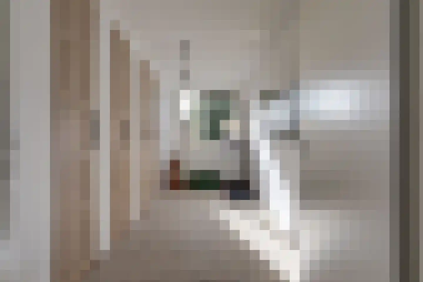 van Ruysdaellaan 48 Bergschenhoek thumbnail 35