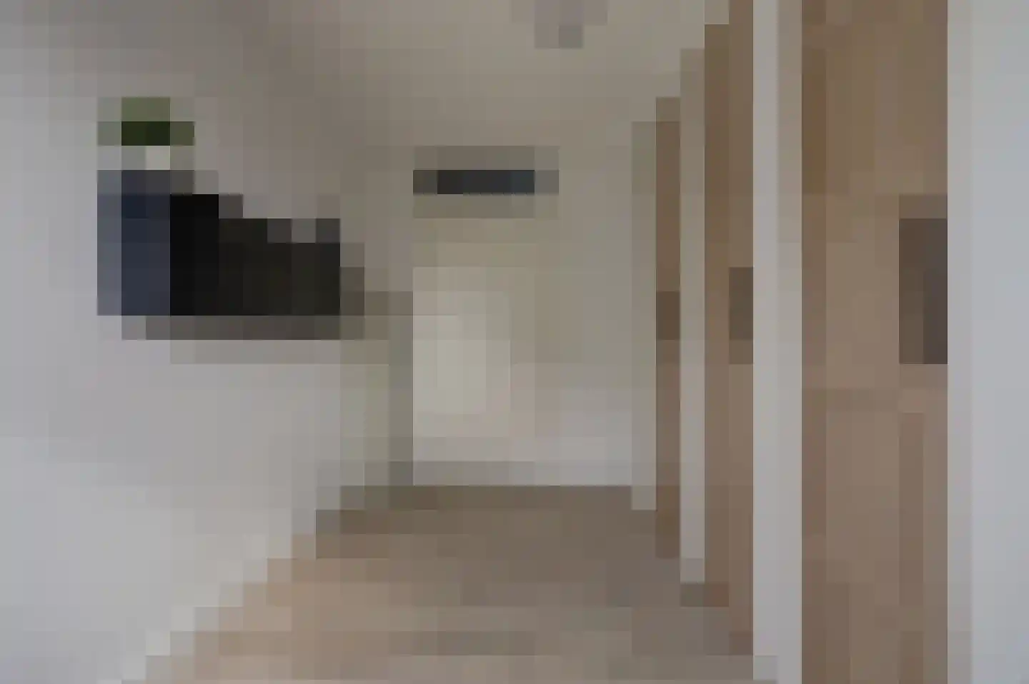 van Ruysdaellaan 48 Bergschenhoek thumbnail 36