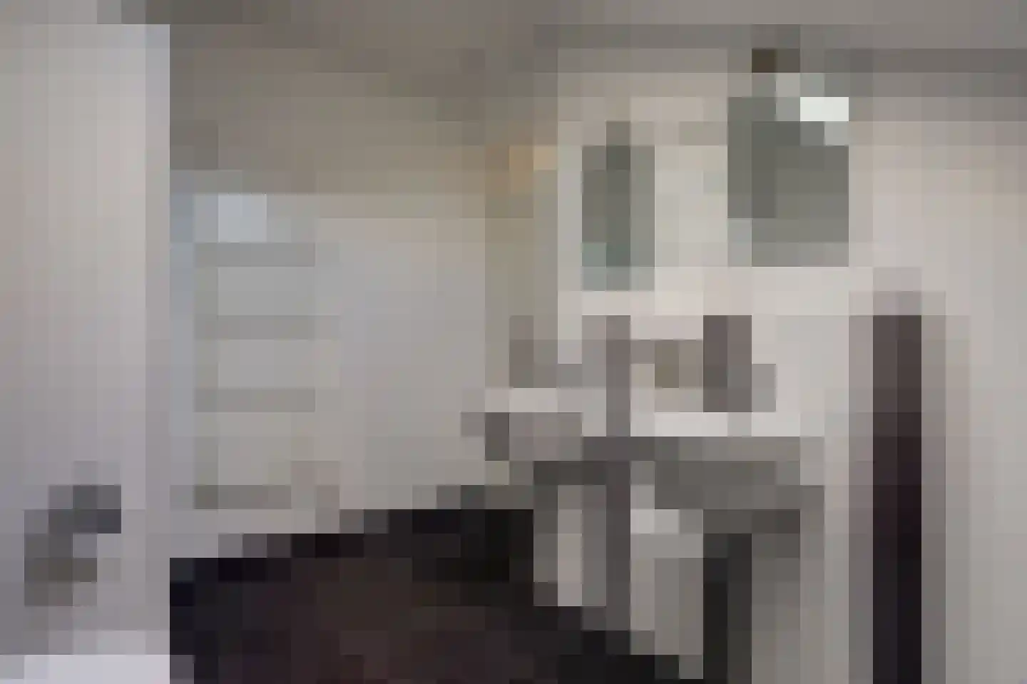 van Ruysdaellaan 48 Bergschenhoek thumbnail 37